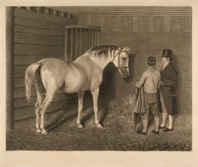Wellesley-arabi tekijältä Charles Turner