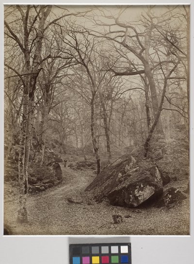 Fontainebleau, n. 1870 (albumiprintti) tekijältä Charles Victor Famin