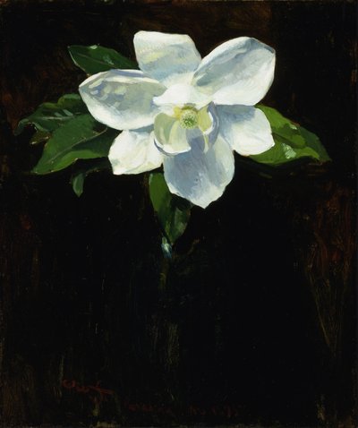 Magnolia, 1895. tekijältä Charles Walter Stetson