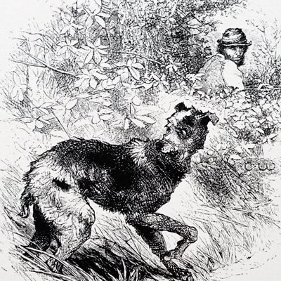 Salametsästäjä lurcherineen tekijältä Charles Whymper