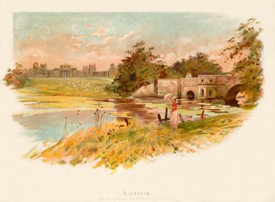 Blenheim tekijältä Charles Wilkinson