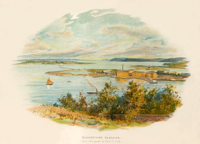 Queenstownin satama tekijältä Charles Wilkinson