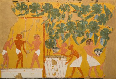 Viininvalmistus, Ipuyn hauta (tempera paperille) tekijältä Charles Wilkinson