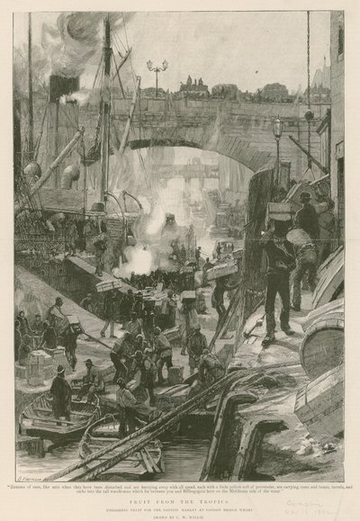 Hedelmä tropiikista (kaiverrus) tekijältä Charles William Wyllie