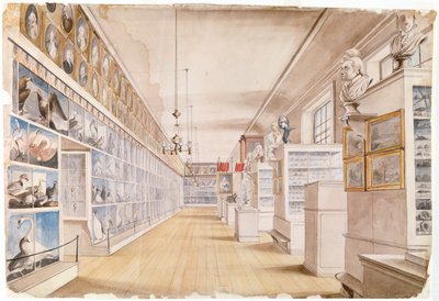 The Long Room, Front Room -huone Peales-museossa, 1822 (wc grafiitin päällä paperilla) tekijältä Charles Willson Peale