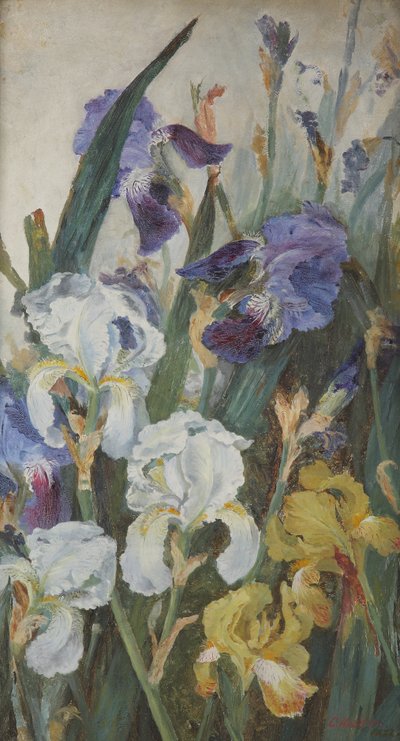 Irikset, 1882 tekijältä Charlotte Hodder