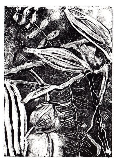 Inky Plants, 2019 (monoprintti) tekijältä Charlotte Orr