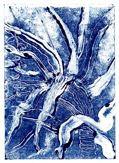 Inky Plants no.2, 2019 (monoprintti) tekijältä Charlotte Orr