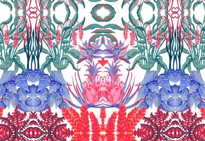 Jungle Jim, 2015 (akryyli) tekijältä Charlotte Orr