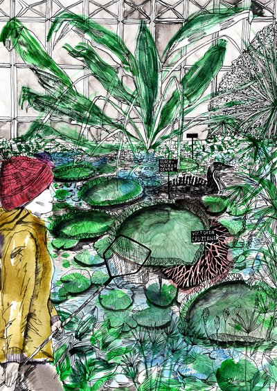 Oxfordin kasvitieteellinen puutarha, 2020 tekijältä Charlotte Orr