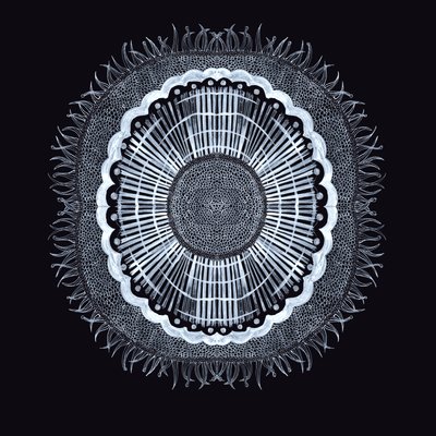 Plant Cell 0.2, 2019 (kynä ja muste) tekijältä Charlotte Orr