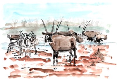 Safari, 2018 (muste ja akvarelli) tekijältä Charlotte Orr