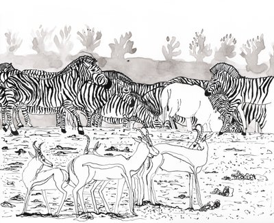 Safari 3, 2018 (muste ja vesiväri) tekijältä Charlotte Orr
