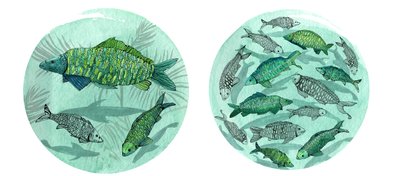 Small Fish Big Pond, 2018 (kynä ja muste, akvarelli ja digitaalinen) tekijältä Charlotte Orr