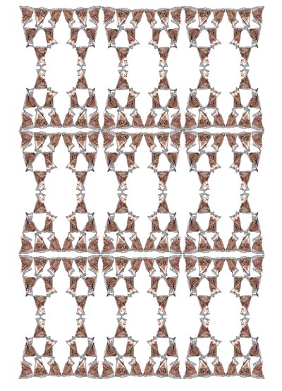 Tea Packaging Design, 2018 (muste ja akvarelli) tekijältä Charlotte Orr