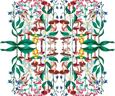 Wild Plants, 2015 akryyli tekijältä Charlotte Orr