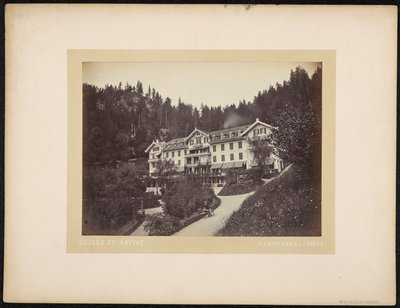 Hotel du Giessbach tekijältä Charnaux Frères and Cie.