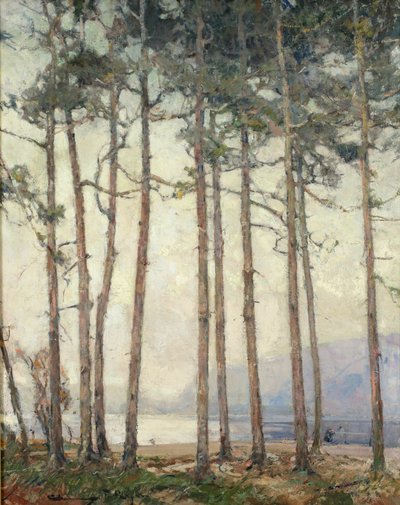 Phantom Lake (öljy) tekijältä Chauncey Foster Ryder