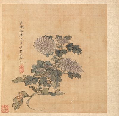 Maalauksia muinaisten mestareiden mukaan: Chrysanthemum tekijältä Chen Hongshou