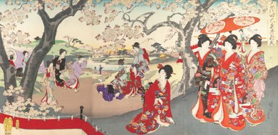 Chiyoda Castle Album of Women, 1895., 1895. tekijältä Chikanobu Yoshu