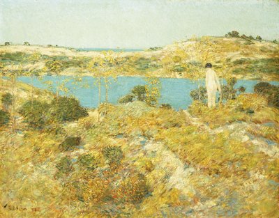 Dune Pool tekijältä Childe Frederick Hassam