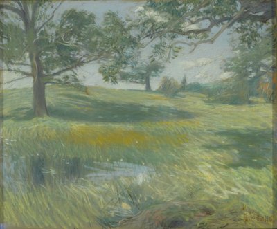 Meadows, n. 1900-1910 (pastelli kankaalle) tekijältä Childe Frederick Hassam