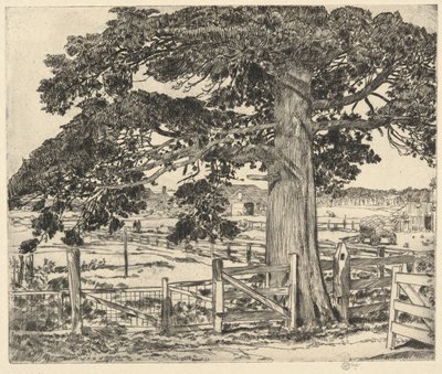 Big Cedar, Wainscott, L. I., 1929 tekijältä Childe Hassam