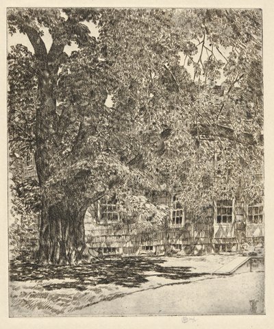 Jättiläinen jalava, 1929 tekijältä Childe Hassam