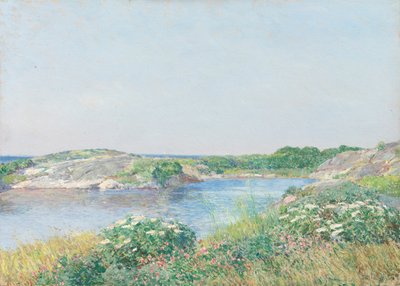 The Little Pond, Appledore tekijältä Childe Hassam