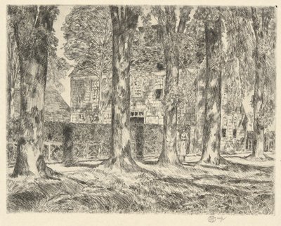 Village Elms, 1923 tekijältä Childe Hassam