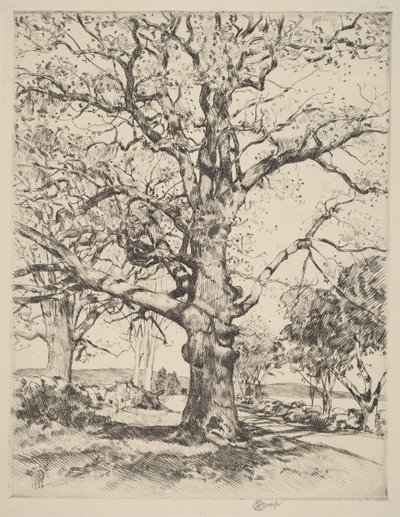  tekijältä Childe Hassam