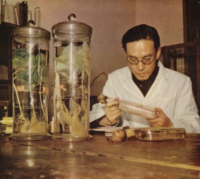 Kiinalainen maatalouskemisti Changchun Research Instituten Kiinan kansantasavallasta, 1950-luku tekijältä Chinese Photographer
