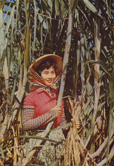 Taiwan: Cane Sugarfinnish tekijältä Chinese Photographer