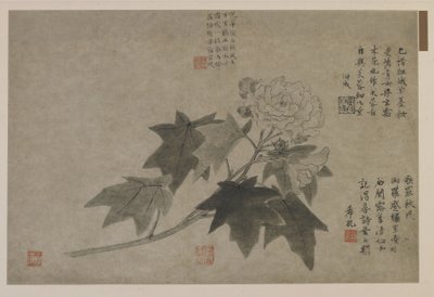 Puupionin oksa, mahdollisesti Qing-dynastia (muste paperille) tekijältä Chinese School