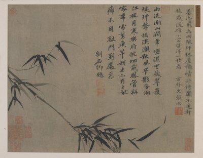 Suihke bambua, mahdollisesti Qing-dynastia (mustetta paperille) tekijältä Chinese School