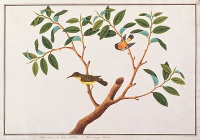 Huonekalut ja erilaiset esineet 1100- ja 1300-luvuilta tekijältä Chinese School