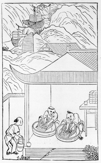 Sinisen emalin kerääminen ja pesu värjäystä varten, sarjasta posliinin valmistusta (katso koko sarja 384116 & 384117) tekijältä Chinese School