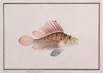 Huonekalut ja erilaiset esineet 1100- ja 1300-luvuilta tekijältä Chinese School