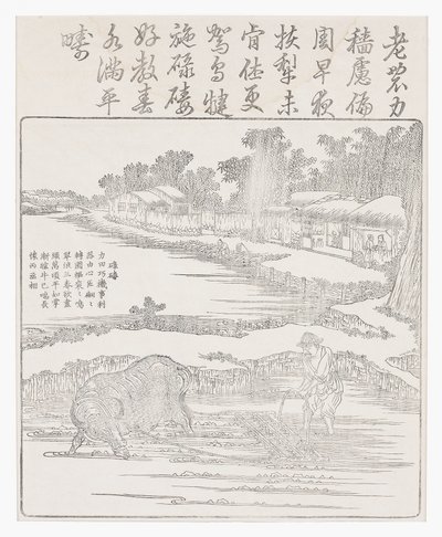 Riisipellon riipaiseminen, 1700-luku tekijältä Chinese School