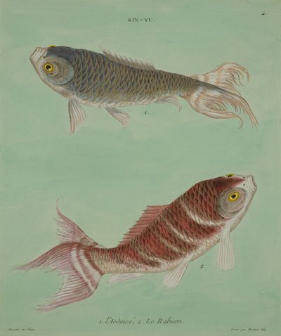 LArdoise, Le Rabicon, kaiverrus Francois Nicholas Martinet (1731-s.1796) (painettu) tekijältä Chinese School