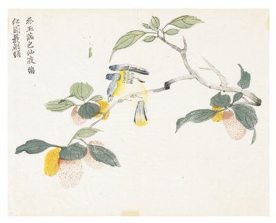 Sinapinsiemenpuutarha tekijältä Chinese School