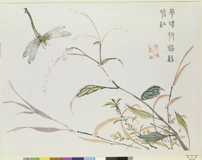 Sinapinsiemenpuutarha tekijältä Chinese School