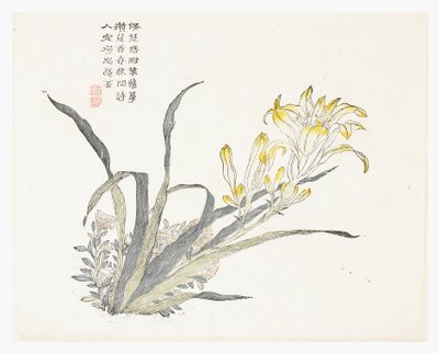 Sinapinsiemenpuutarha tekijältä Chinese School