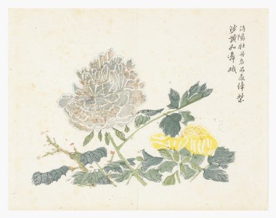 Sinapinsiemenpuutarha tekijältä Chinese School