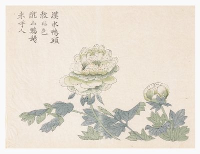 Sinapinsiemenpuutarha tekijältä Chinese School