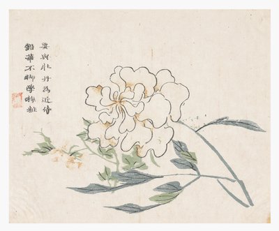 Sinapinsiemenpuutarha tekijältä Chinese School