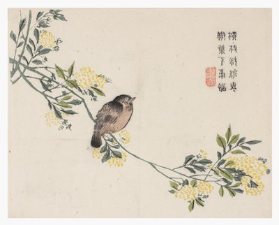Sinapinsiemenpuutarha tekijältä Chinese School