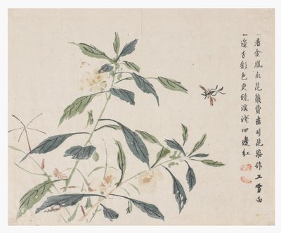 Sinapinsiemenpuutarha tekijältä Chinese School