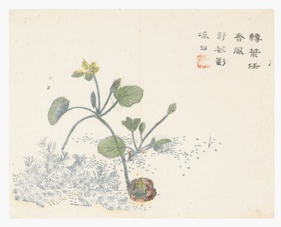 Sinapinsiemenpuutarha tekijältä Chinese School