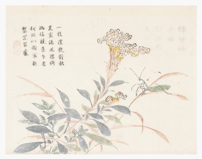 Sinapinsiemenpuutarha tekijältä Chinese School